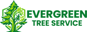 evergreentreeservicebuffalo.com